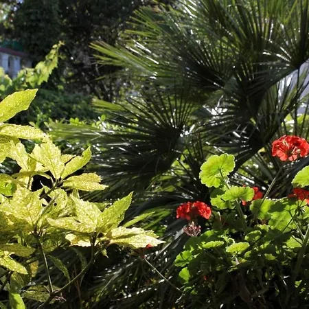 Lägenhet By The Sea